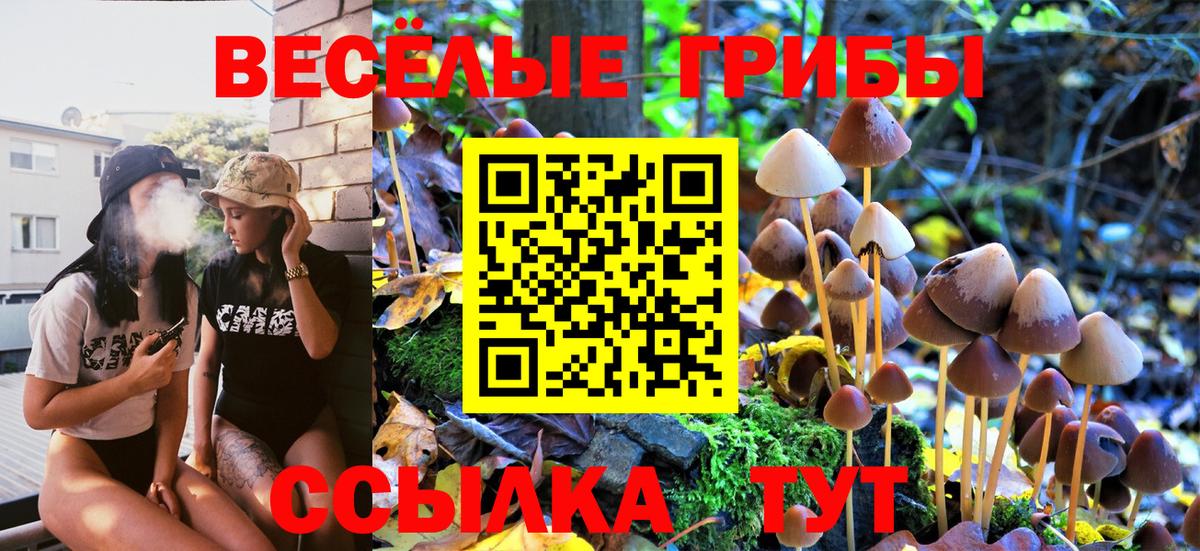 Псилоцибиновые грибы Cubensis Сочи