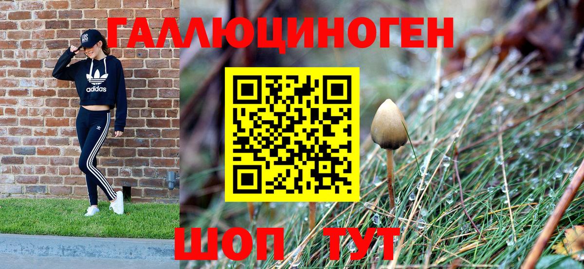 Сочи  Галлюциногенные грибы прущие грибы  Вход с VPN 
